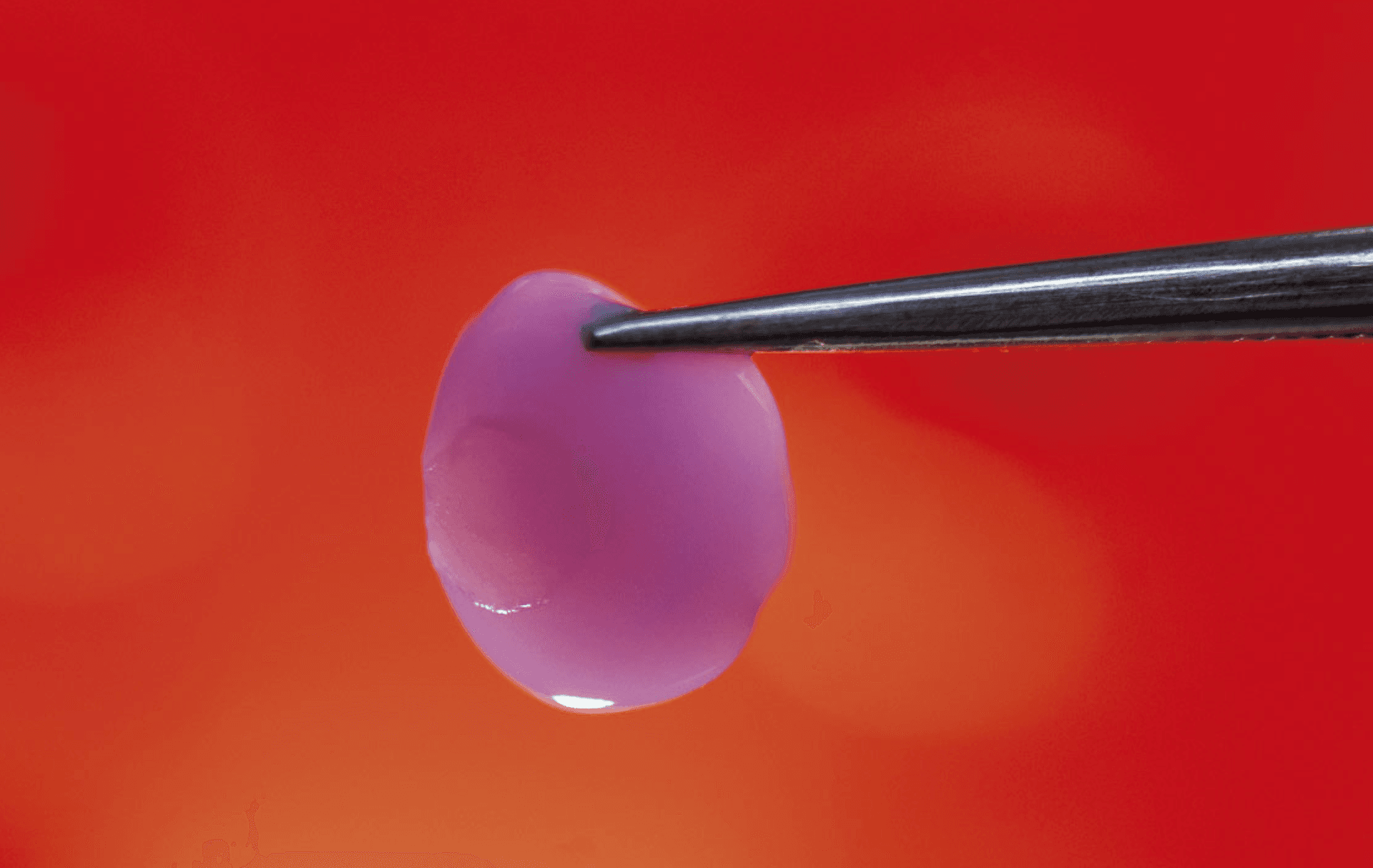 Avanço na Impressão 3D de Tecidos Humanos Promete Revolucionar Testes Biomédicos