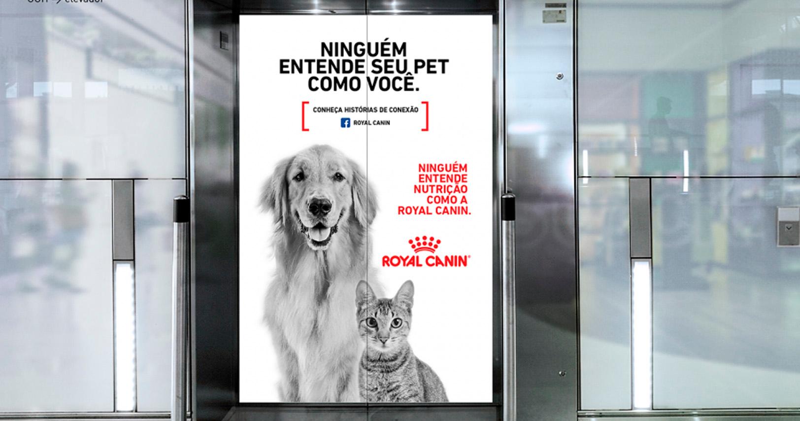 Royal Canin celebra 50 anos de atuação no mundo com nova campanha