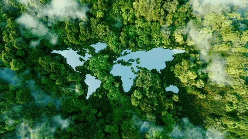 Future Climate busca R$ 200 milhões para expandir projetos de descarbonização