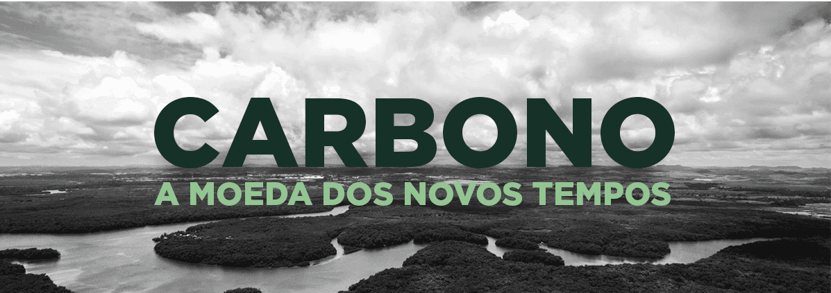 Brasil lidera mercado de carbono com nova lei regulatória