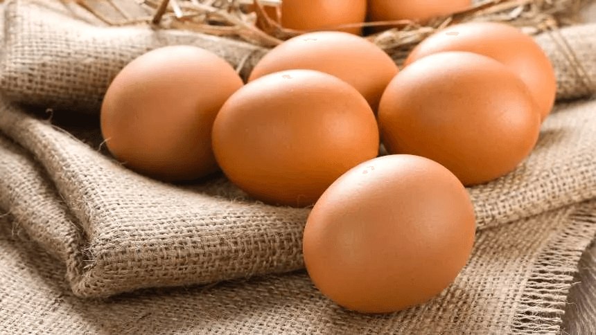Global Eggs investe nos EUA com aquisição bilionária e mira liderança mundial