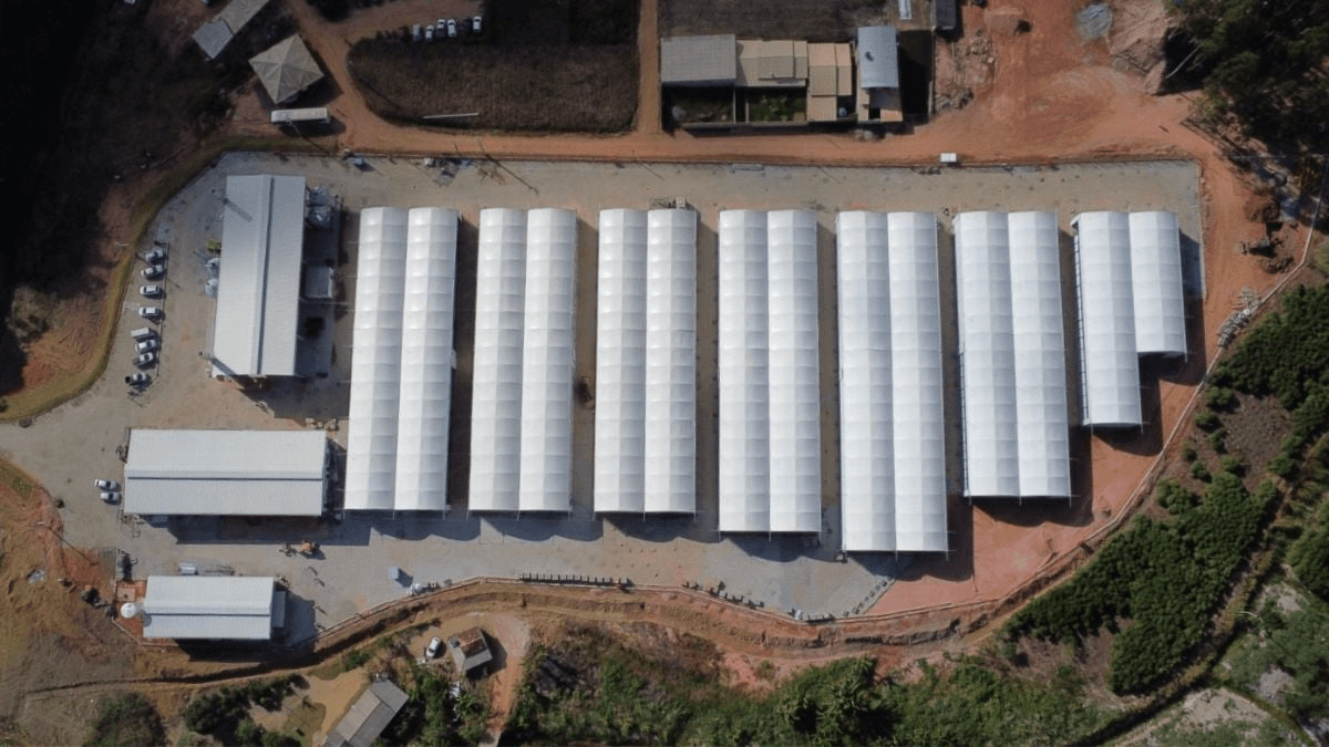NetZero avança com modelo circular e capta R$ 85 milhões para escalar a remoção de carbono via biochar
