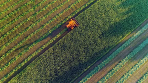 tecnologia agrícola, genômica, OCI, Oracle Cloud, agricultura sustentável, agronegócio brasileiro, análise de microbioma, agricultura de precisão, biotecnologia, startups brasileiras.